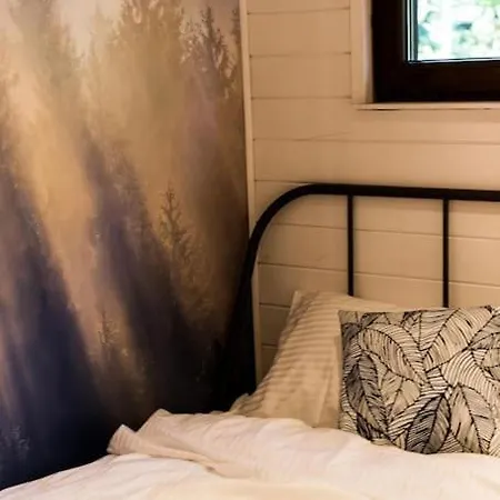 Sosnowy Strumyk Nyaraló