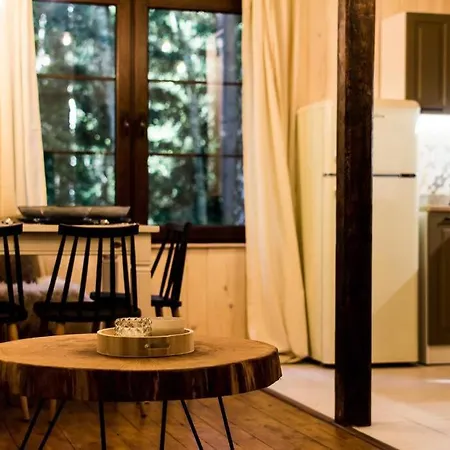 Sosnowy Strumyk בית נופש