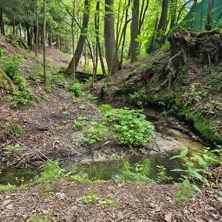 Nyaraló Sosnowy Strumyk