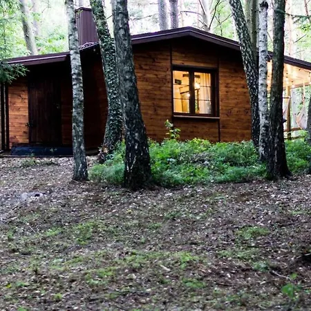 Sosnowy Strumyk Nyaraló Laziska (Boleslawiec)