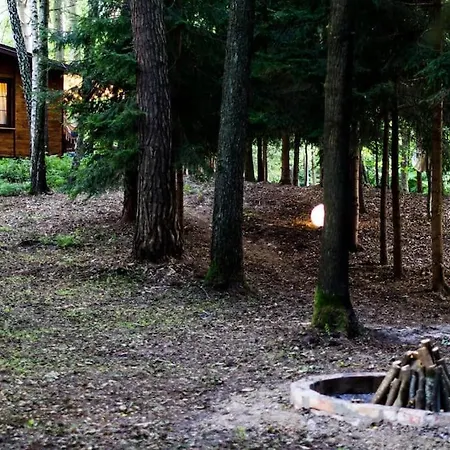 Sosnowy Strumyk * Laziska (Boleslawiec)