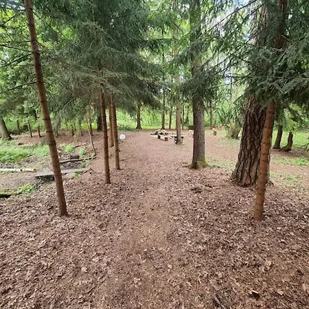 Sosnowy Strumyk בית נופש Laziska (Boleslawiec)