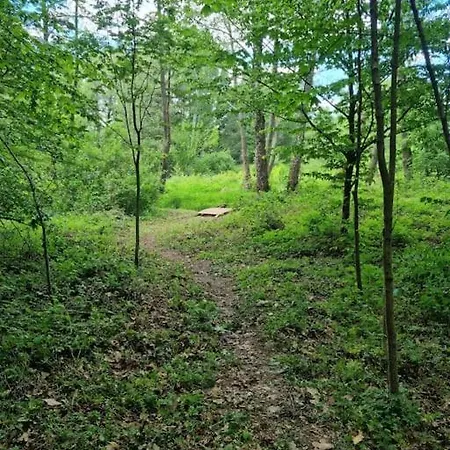 Sosnowy Strumyk Nyaraló *