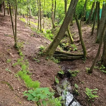 Nyaraló Sosnowy Strumyk *