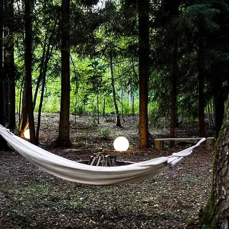 Sosnowy Strumyk Nyaraló