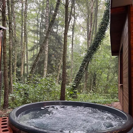 Sosnowy Strumyk Nyaraló *