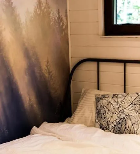 Sosnowy Strumyk Tatil Evi