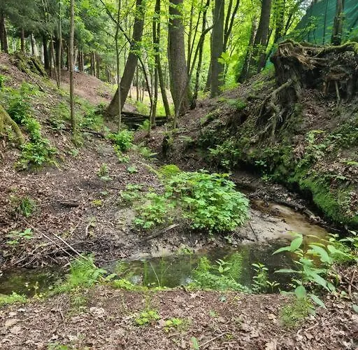 Tatil Evi Sosnowy Strumyk