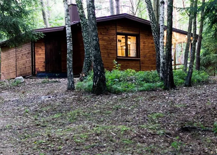 Sosnowy Strumyk Tatil Evi Laziska (Boleslawiec)