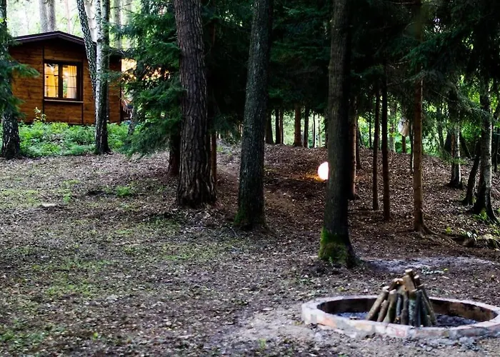 Sosnowy Strumyk * Laziska (Boleslawiec)