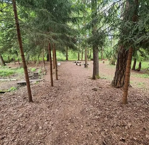 Sosnowy Strumyk Tatil Evi Laziska (Boleslawiec)