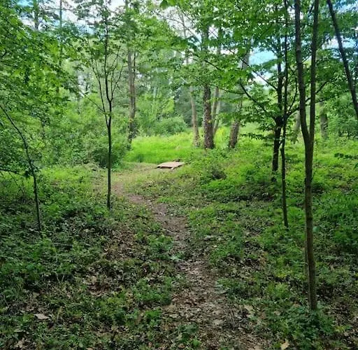 Sosnowy Strumyk Tatil Evi *