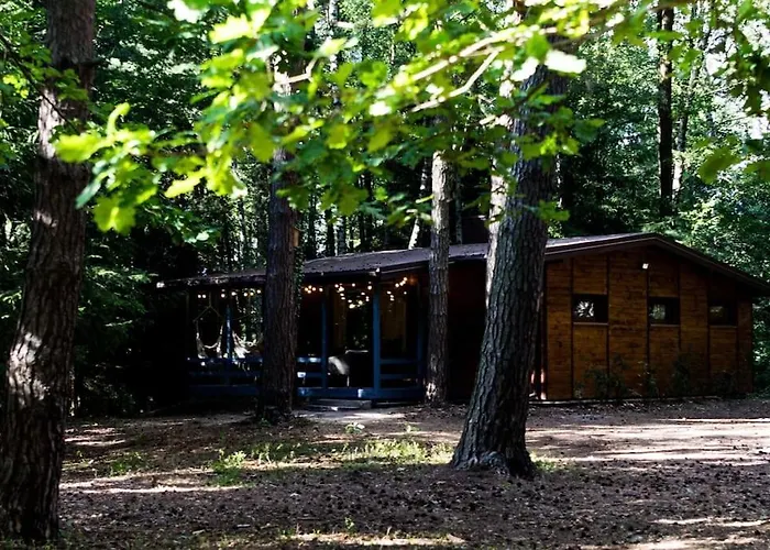 Sosnowy Strumyk Tatil Evi