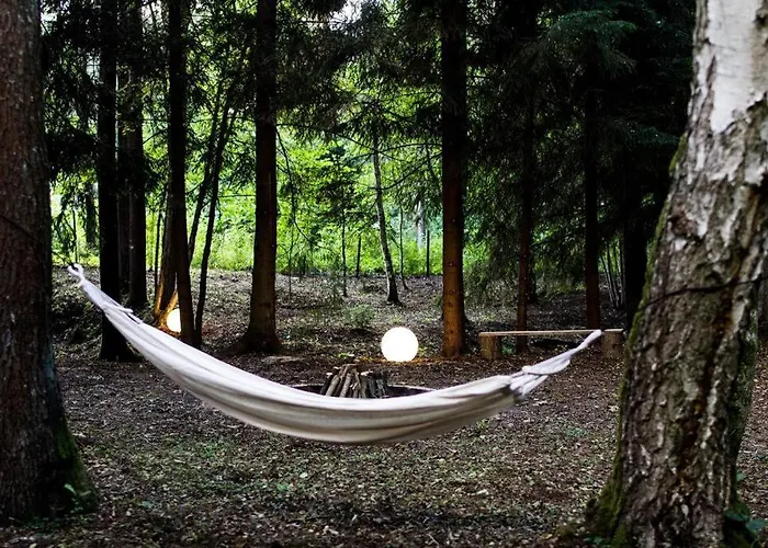 Sosnowy Strumyk Tatil Evi