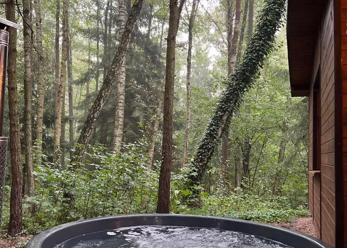 Sosnowy Strumyk Tatil Evi *